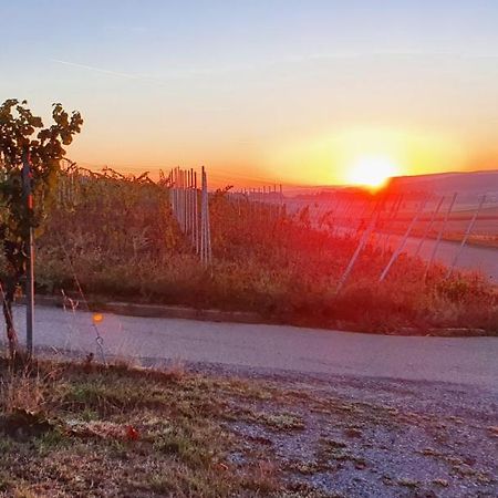 Weingut Will Und Wuerz Lemberger Daire Schwaigern Dış mekan fotoğraf