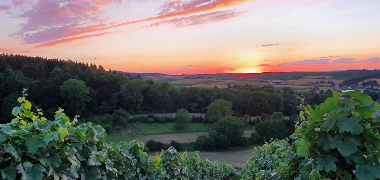 Weingut Will Und Wuerz Lemberger Daire Schwaigern Dış mekan fotoğraf